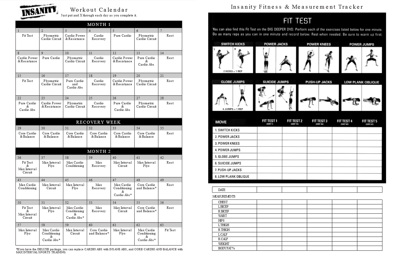 Insanity workout schedule and fit test Shaun T